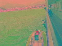 IMGP2662 edited (Medium)